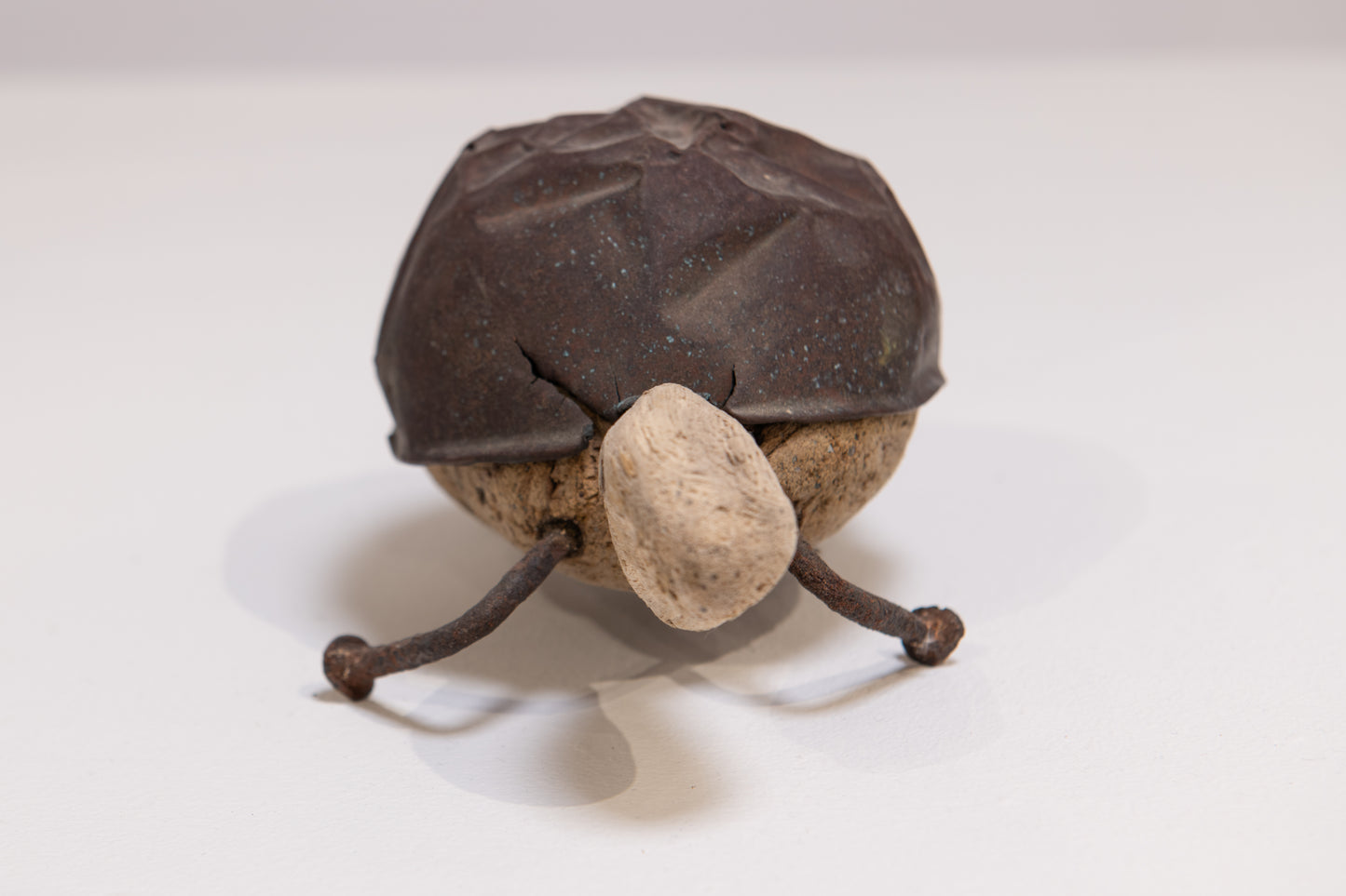 Tortoise
