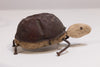 Tortoise