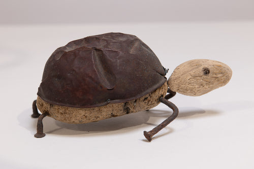 Tortoise
