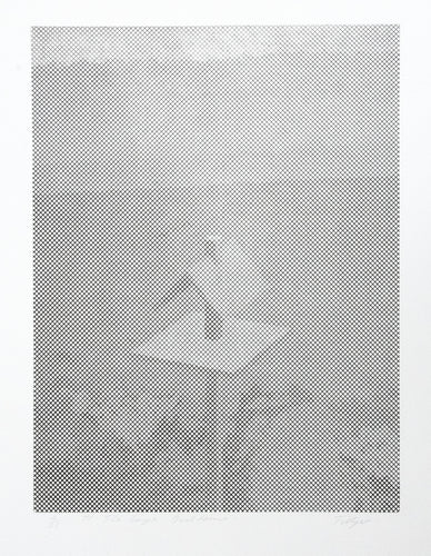 The Large Bird House