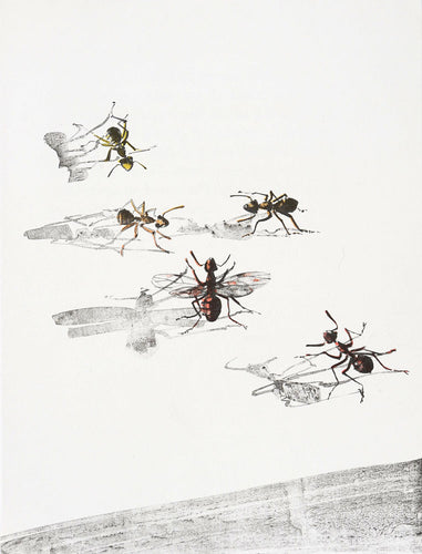 The Ants (Les Fourmis)