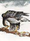 The Sparrowhawk (L'Epervier)
