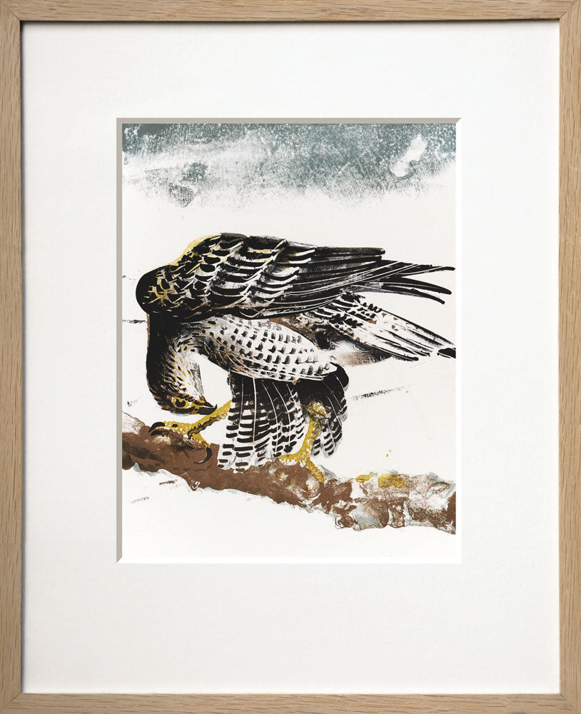 The Sparrowhawk (L'Epervier)