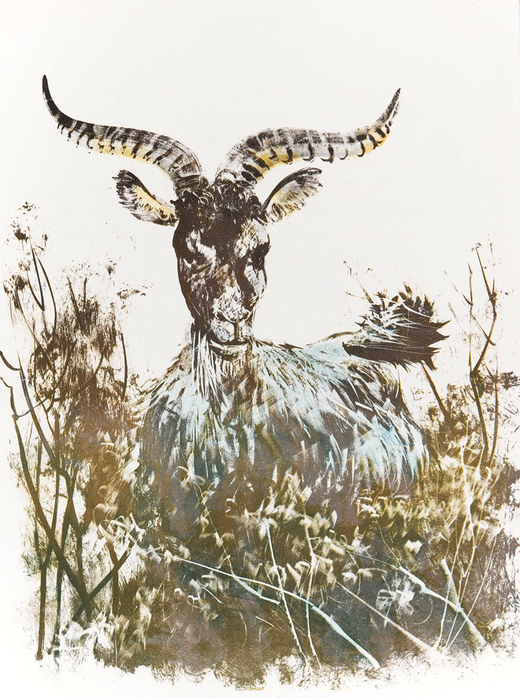 The Goat (Le Bouc)