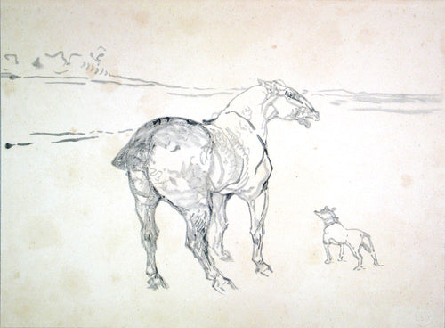 Un petit Cob et un Fox-Terrier