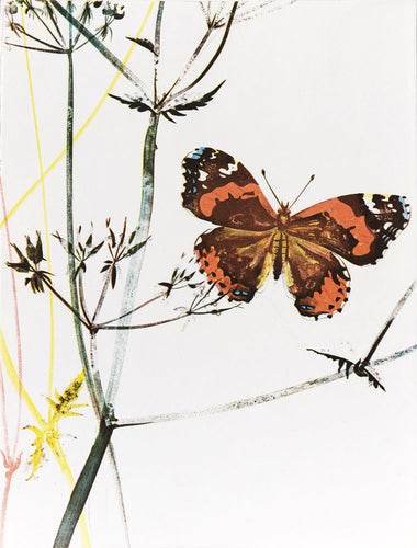 The Butterfly (Le Papillon)