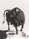 The Bull (Le Taureau)
