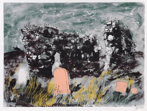 Ruined Chapel, Isle of Mull