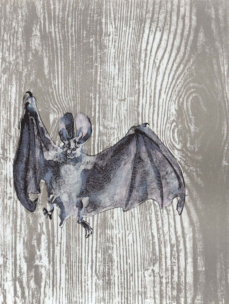The Bat (Chauves Souris)