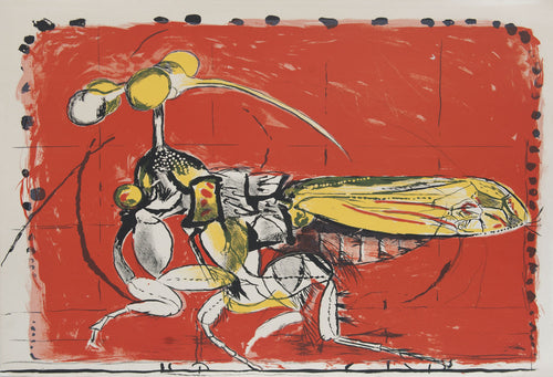 Insect (simulating seeds)