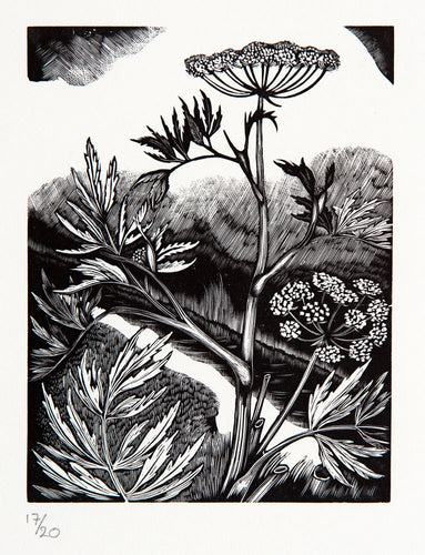 Water Hemlock, Poisonous Plants