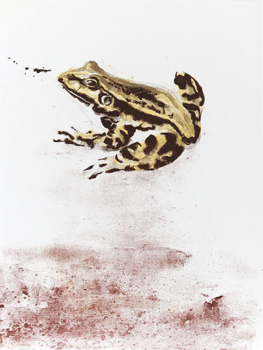 The Frog (Les Grenouilles)