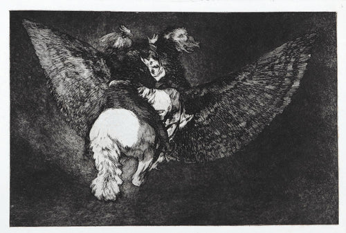 Reniego al Amigo que Cubre con las alas y Muerde con el Pico