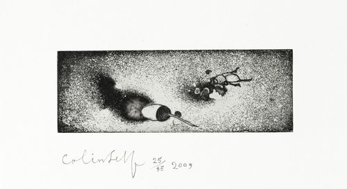 A Beetle and an Acorn