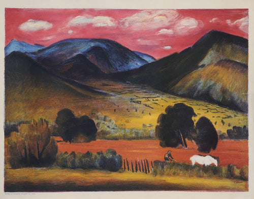 Landscape in the Lake District