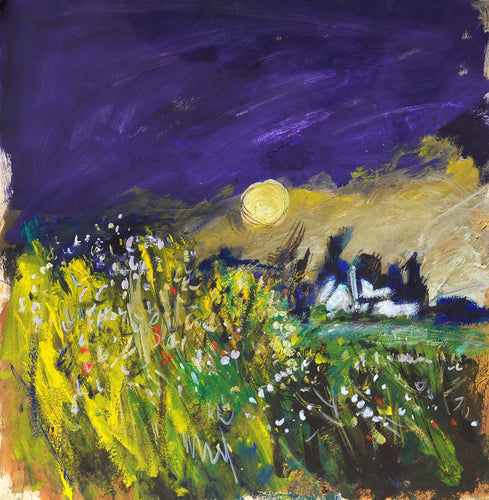 Meadow in evening light