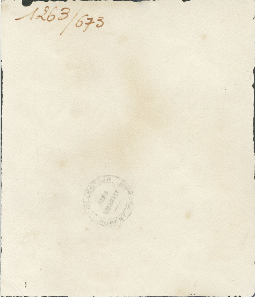 Design 1263 - Red and Blue Flowers on Black