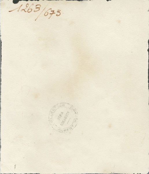 Design 1263 - Red and Blue Flowers on Black