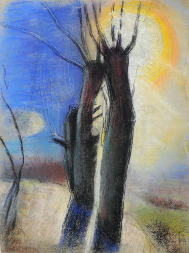 Dark Trees and Sunlight