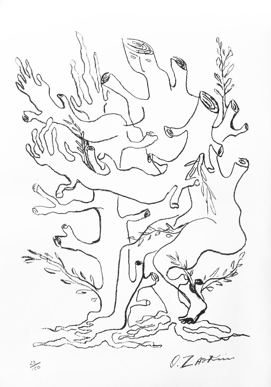Daphne Tree Form