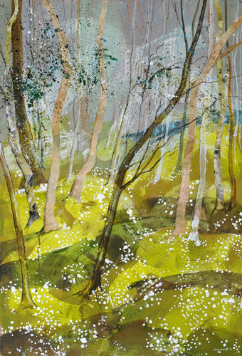 In Amongst the Wood Anemones