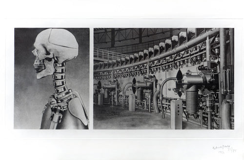 B - Skull of Test Dummy - USSR Proton-Synchron Electrophysical Laboratory