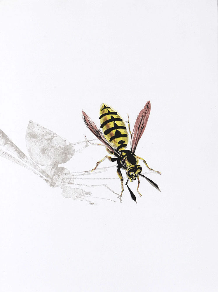 The Wasp (La Guêpe)