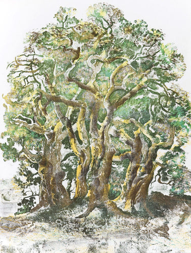 A Family Tree (Une famille d'arbres)