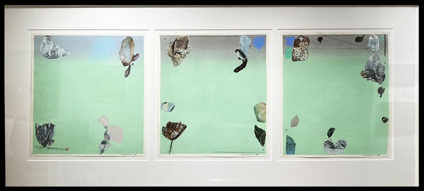 Beach Flower, Collage, Triptych