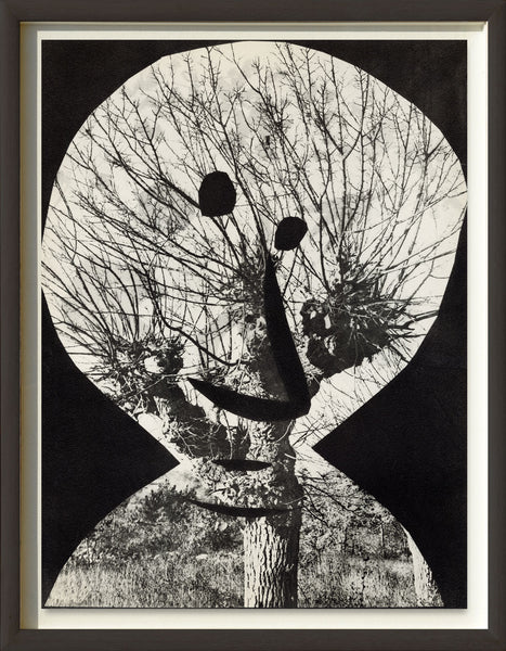 Le Corrigan Effeuillé