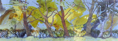 Striking Autumn Colours