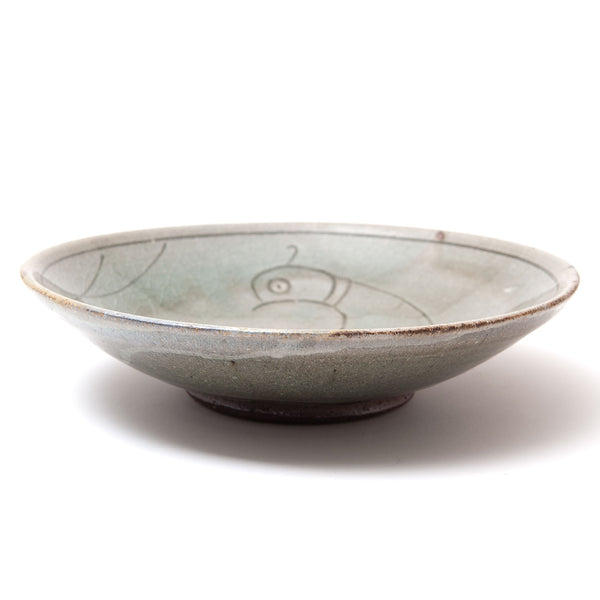 Shallow Bowl