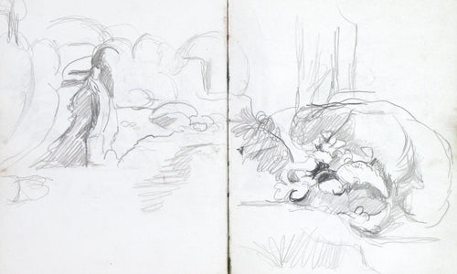 Trees, Rocks and Paths