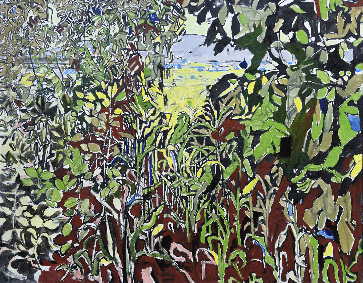 Valley through Foliage