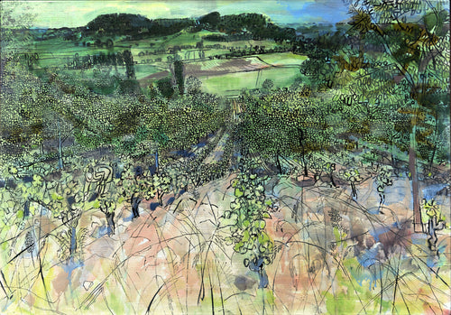 Le Boulvé Vineyards