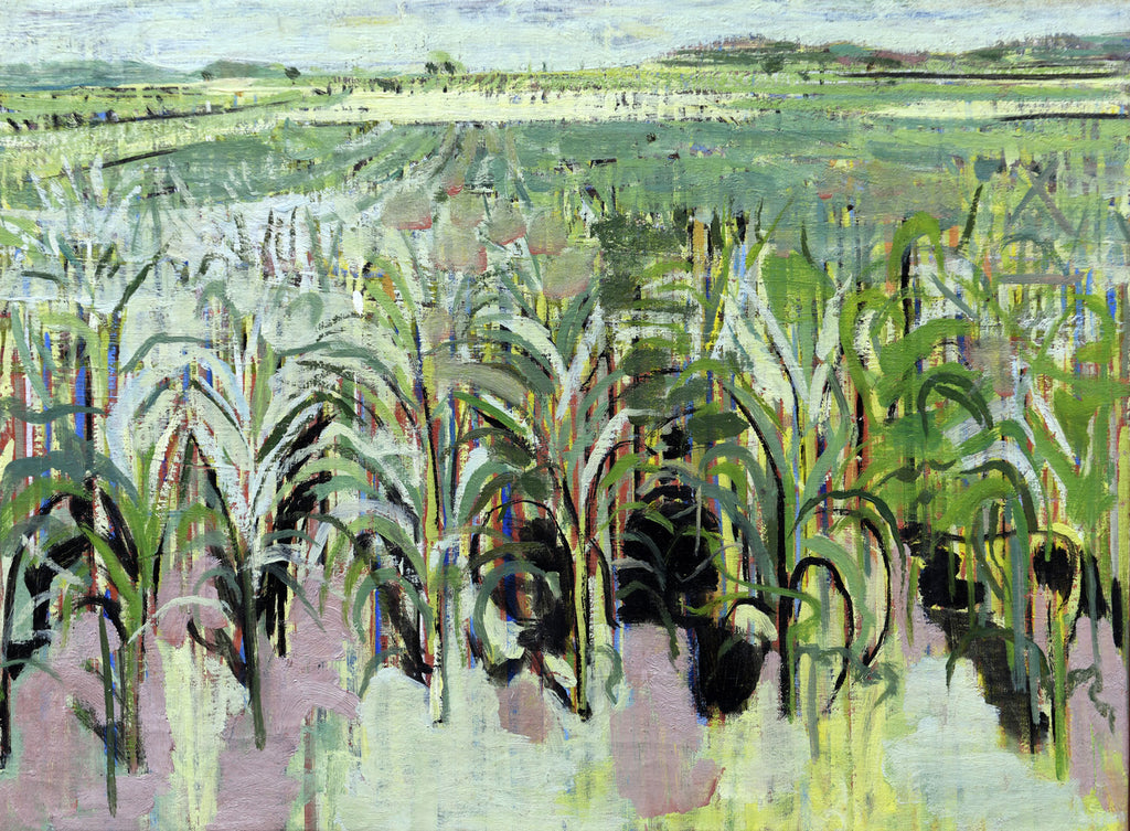 Maize Fields, Le Boulvé