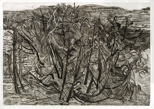 Landscape with Juniper