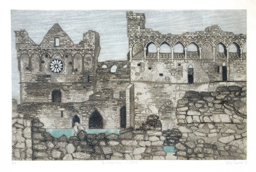 The Bishop's Palace, St. David's