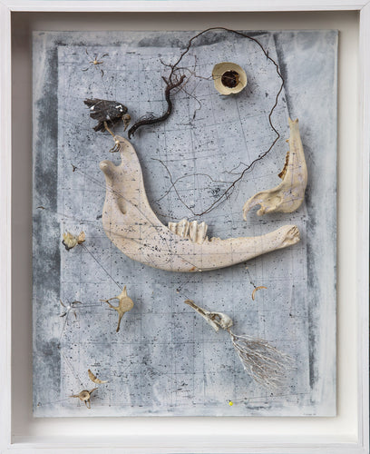 Bone Atlas: Chart 53