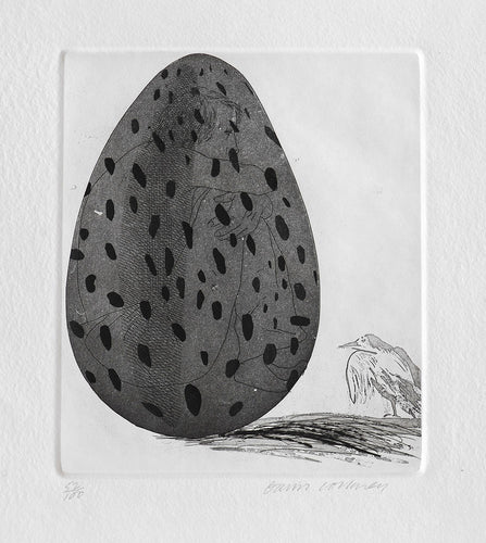 The Boy Hidden in an Egg