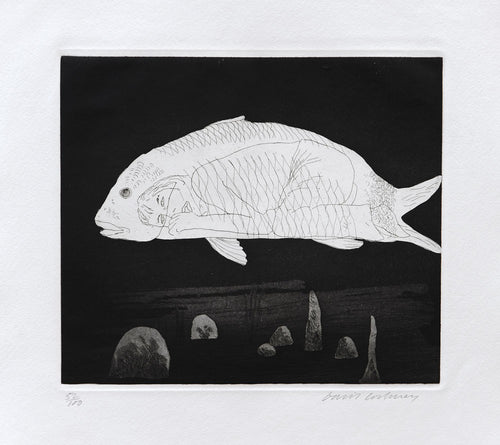 The Boy Hidden in a Fish