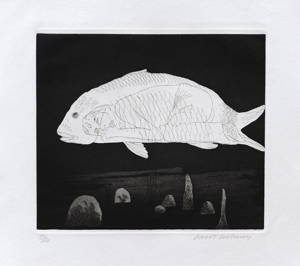 The Boy Hidden in a Fish