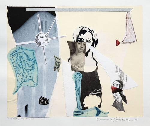 The History of the Princess