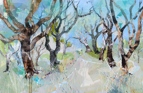 Cork Forest in the Morning Sun