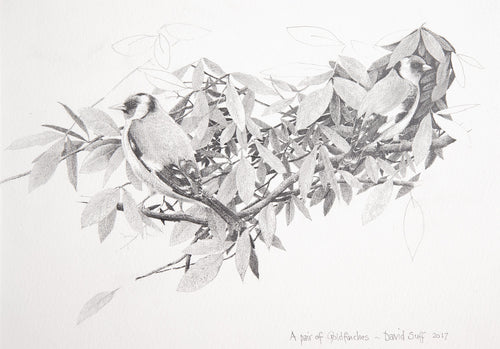 A Pair of Goldfinches