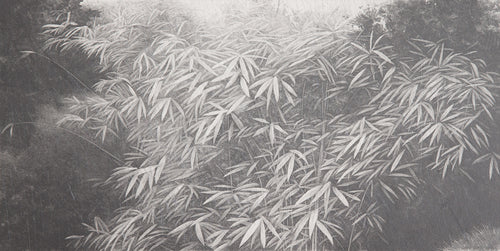 Endangered Garden: Rain-blown Bamboo