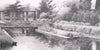 Endangered Garden: Rockcliffe Pool