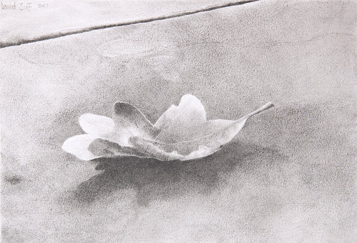 Study for Wm. Blake's Leaf