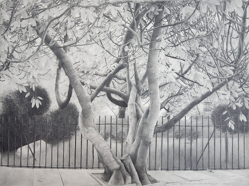 Wm. Blake Voiced by Goldfinches, Bunhill Fields, All Souls Day 2017