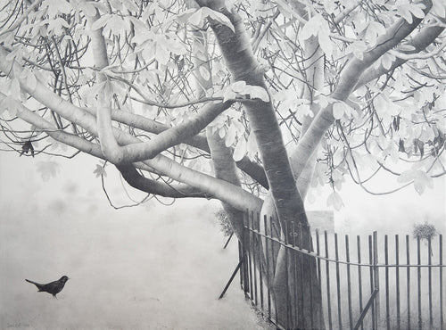 Wm. Blake's Tree, Bunhill Fields